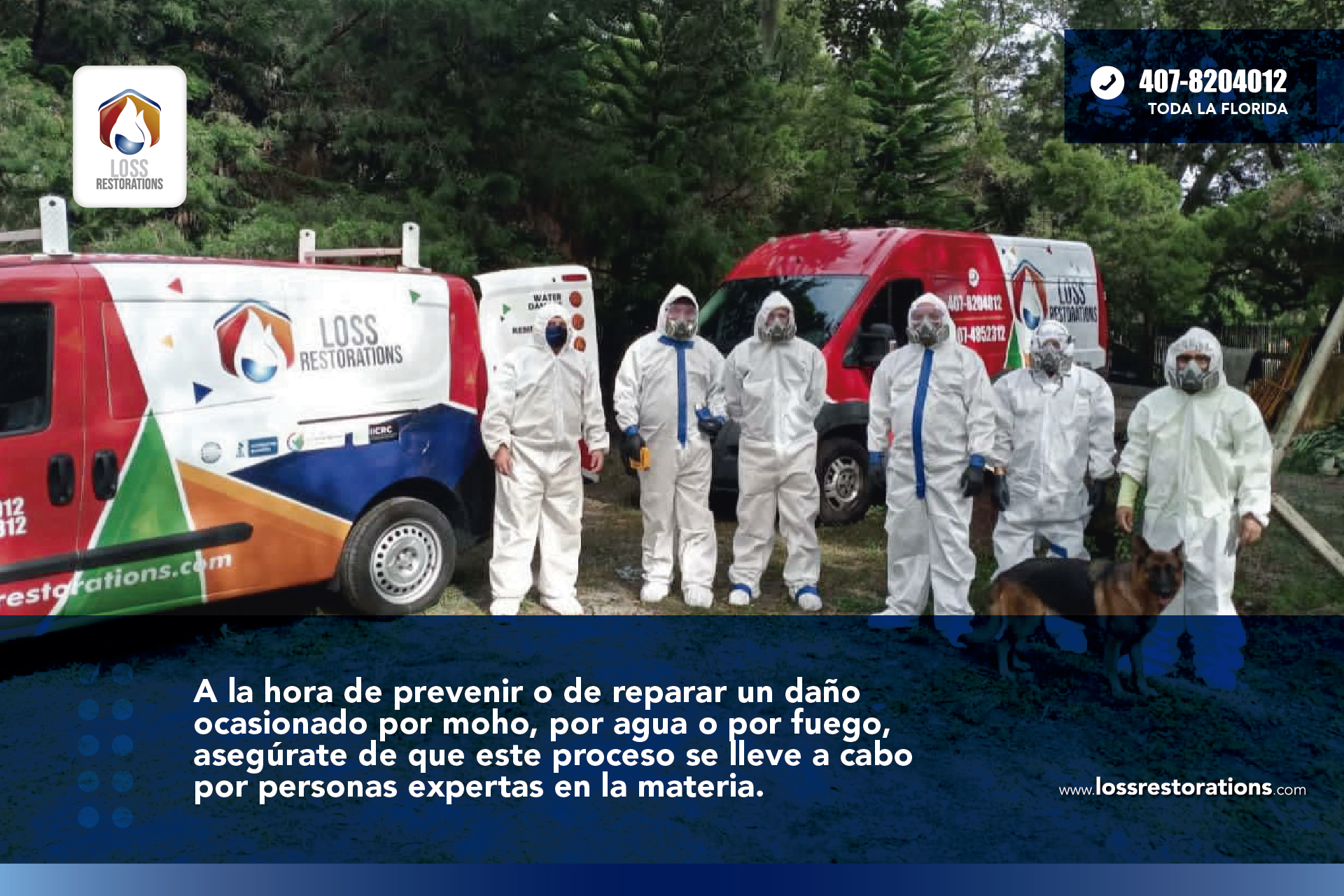 Asesoría profesional