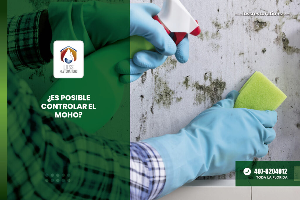 Es posible controlar el Moho